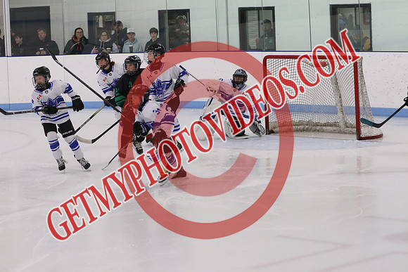 1C2A4334_1 00 pm - U13SL - Napanee Stars vs Orono Leafs