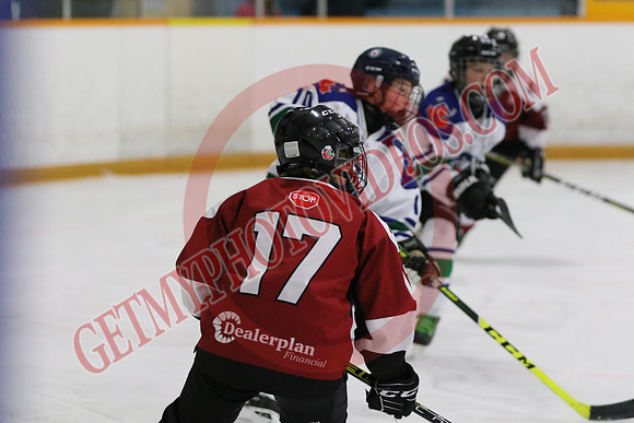 1C2A7435