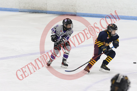 20240601-51050_1 25 pm – U12 A – Erie North Shore Storm vs London Jr Mustangs White – Memorial