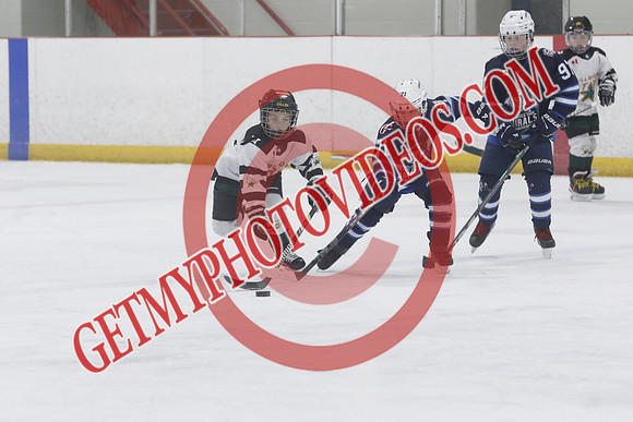 _63A7099_9 00 am - U9MD2 - Upper York Admirals vs Millbrook Stars - EG West