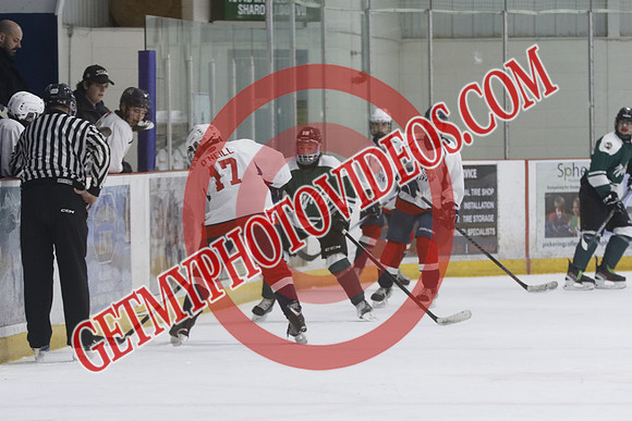 _63A6595