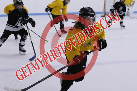 7Z7A8251_9 00 am - U13LL - OCHL Hawks Taunton vs Clarington Thunder 7 Yellow