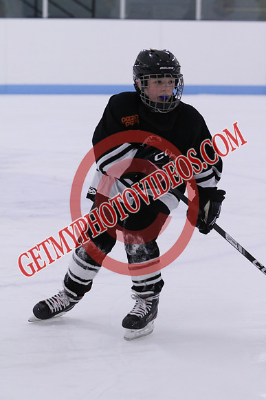 7Z7A8323_9 00 am - U13LL - OCHL Hawks Taunton vs Clarington Thunder 7 Yellow