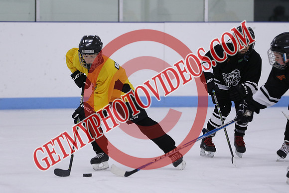 7Z7A8429_9 00 am - U13LL - OCHL Hawks Taunton vs Clarington Thunder 7 Yellow
