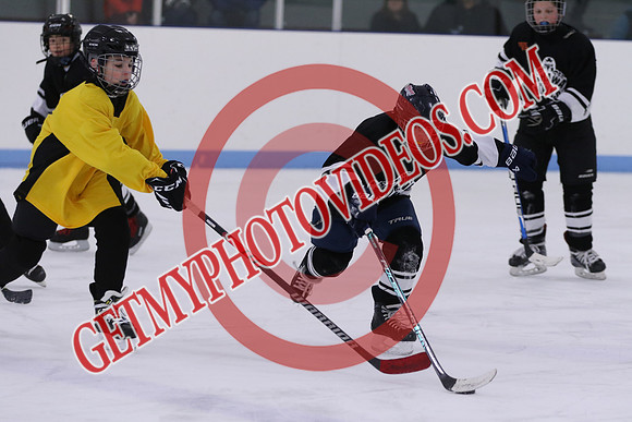 7Z7A8462_9 00 am - U13LL - OCHL Hawks Taunton vs Clarington Thunder 7 Yellow