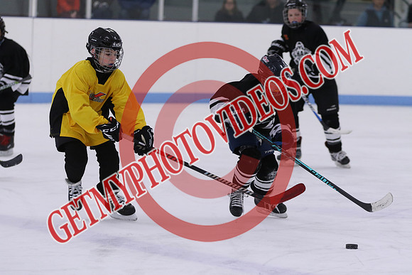7Z7A8464_9 00 am - U13LL - OCHL Hawks Taunton vs Clarington Thunder 7 Yellow