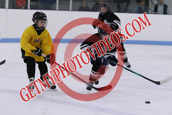 7Z7A8465_9 00 am - U13LL - OCHL Hawks Taunton vs Clarington Thunder 7 Yellow