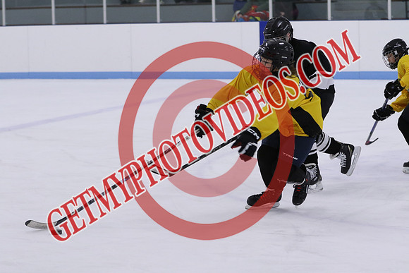 7Z7A8696_9 00 am - U13LL - OCHL Hawks Taunton vs Clarington Thunder 7 Yellow