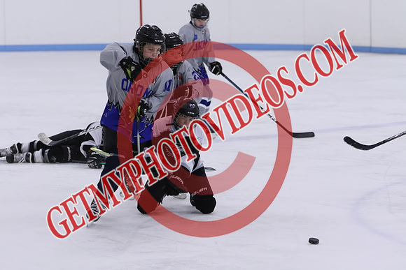 7Z7A0941_10 00 am - U13LL - Northumberland Nighthawks Black vs Orono Leafs 4