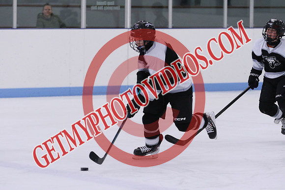 7Z7A1184_10 00 am - U13LL - Northumberland Nighthawks Black vs Orono Leafs 4