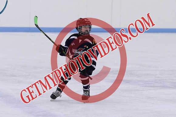 7Z7A4740_10 00 am - U11LL - Warkworth Bulldogs White vs Clarington Knights Purple