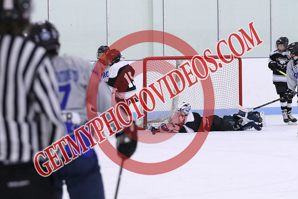 7Z7A2532_10 00 am - U13LL - Northumberland Nighthawks Black vs Orono Leafs 4