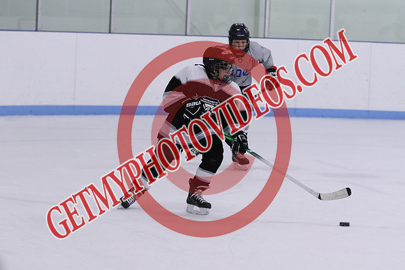 7Z7A3176_10 00 am - U13LL - Northumberland Nighthawks Black vs Orono Leafs 4