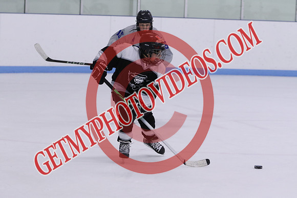 7Z7A3180_10 00 am - U13LL - Northumberland Nighthawks Black vs Orono Leafs 4