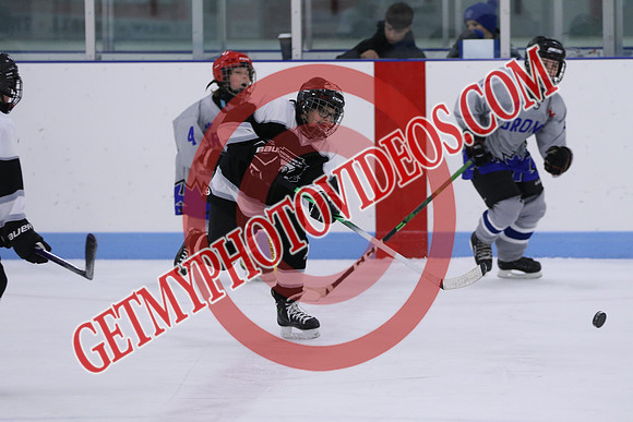 7Z7A3825_10 00 am - U13LL - Northumberland Nighthawks Black vs Orono Leafs 4