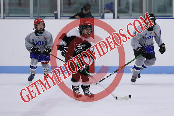 7Z7A3828_10 00 am - U13LL - Northumberland Nighthawks Black vs Orono Leafs 4