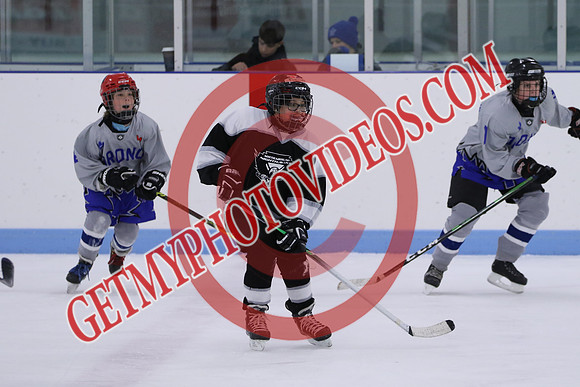 7Z7A3829_10 00 am - U13LL - Northumberland Nighthawks Black vs Orono Leafs 4