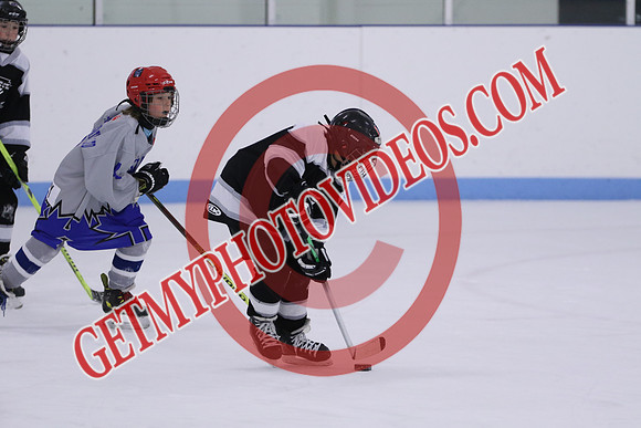 7Z7A3889_10 00 am - U13LL - Northumberland Nighthawks Black vs Orono Leafs 4