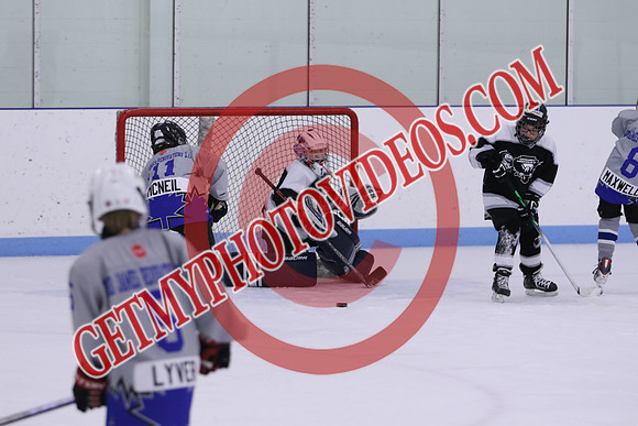 7Z7A4201_10 00 am - U13LL - Northumberland Nighthawks Black vs Orono Leafs 4