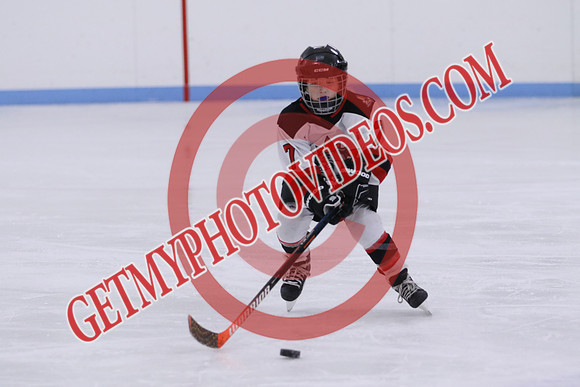 7Z7A4320_10 00 am - U11LL - Warkworth Bulldogs White vs Clarington Knights Purple