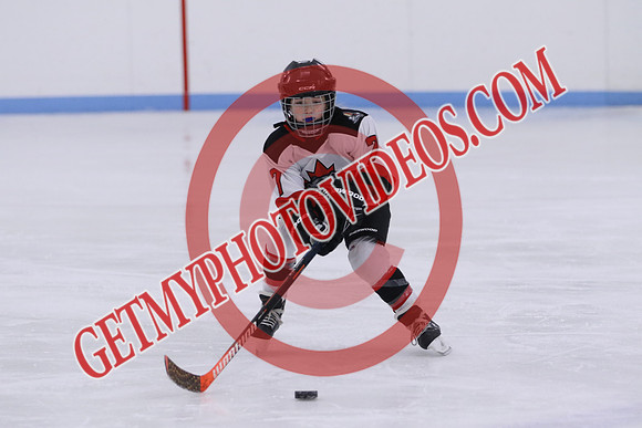 7Z7A4321_10 00 am - U11LL - Warkworth Bulldogs White vs Clarington Knights Purple