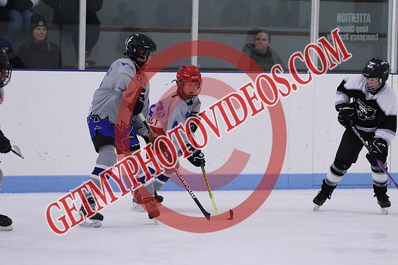 7Z7A1291_10 00 am - U13LL - Northumberland Nighthawks Black vs Orono Leafs 4
