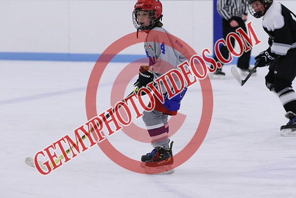 7Z7A2347_10 00 am - U13LL - Northumberland Nighthawks Black vs Orono Leafs 4