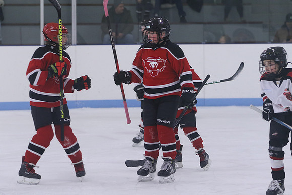 7Z7A0173_3 00 pm - U11LL - Northumberland Nighthawks Red 67s vs Centre Hastings Grizzlies Black