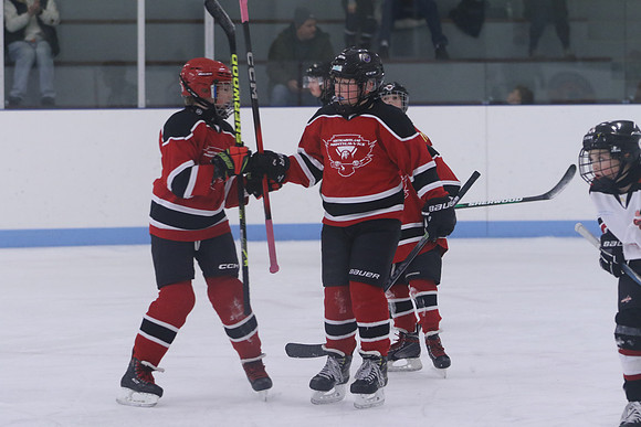 7Z7A0174_3 00 pm - U11LL - Northumberland Nighthawks Red 67s vs Centre Hastings Grizzlies Black