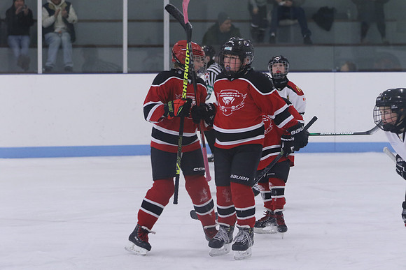 7Z7A0175_3 00 pm - U11LL - Northumberland Nighthawks Red 67s vs Centre Hastings Grizzlies Black