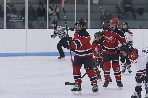 7Z7A0178_3 00 pm - U11LL - Northumberland Nighthawks Red 67s vs Centre Hastings Grizzlies Black