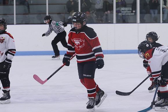 7Z7A0184_3 00 pm - U11LL - Northumberland Nighthawks Red 67s vs Centre Hastings Grizzlies Black