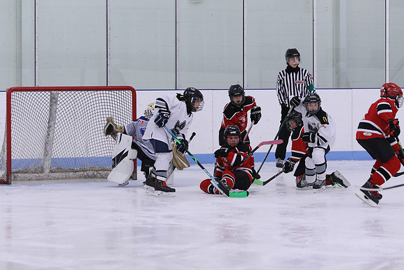 7Z7A0211_9 00 am - U11LL - Northumberland Nighthawks Red 67s vs Orono Leafs 2