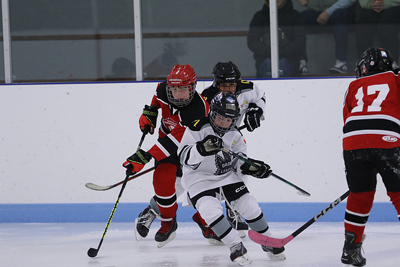 7Z7A0248_9 00 am - U11LL - Northumberland Nighthawks Red 67s vs Orono Leafs 2