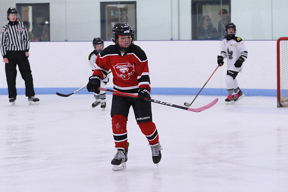7Z7A0746_9 00 am - U11LL - Northumberland Nighthawks Red 67s vs Orono Leafs 2