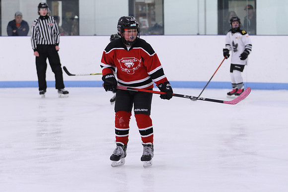 7Z7A0748_9 00 am - U11LL - Northumberland Nighthawks Red 67s vs Orono Leafs 2