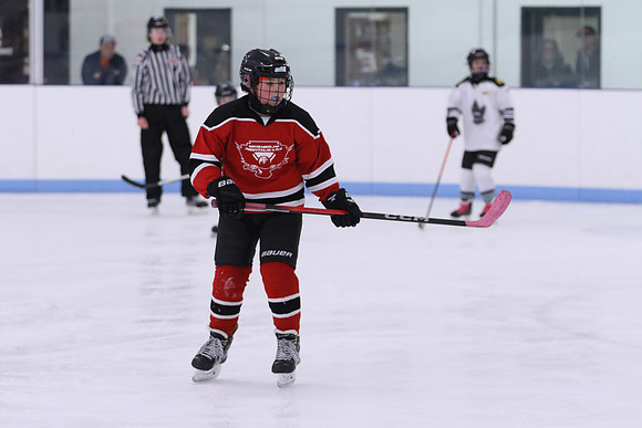 7Z7A0752_9 00 am - U11LL - Northumberland Nighthawks Red 67s vs Orono Leafs 2