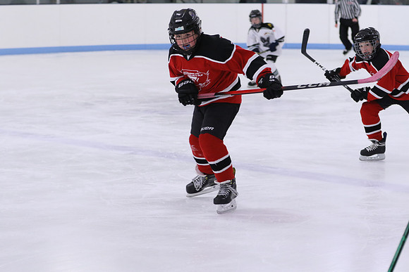 7Z7A0759_9 00 am - U11LL - Northumberland Nighthawks Red 67s vs Orono Leafs 2