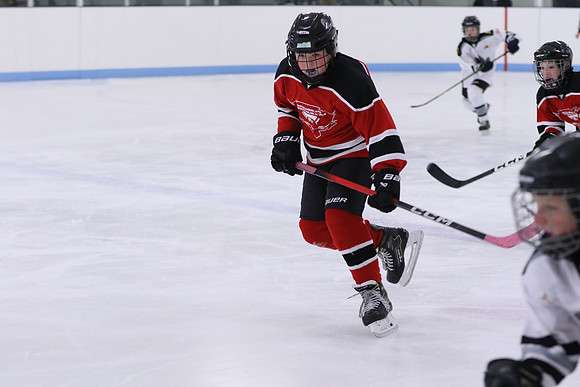 7Z7A0761_9 00 am - U11LL - Northumberland Nighthawks Red 67s vs Orono Leafs 2