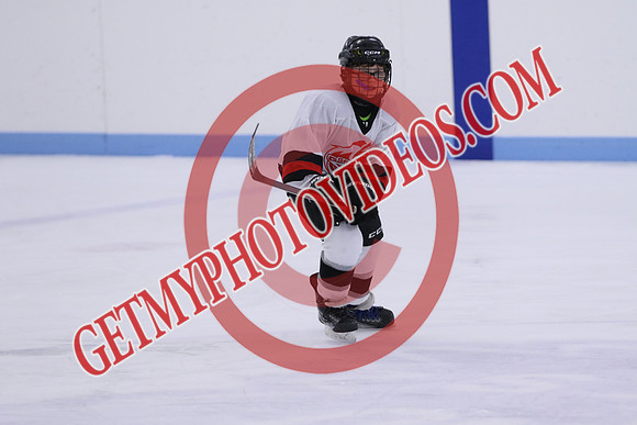 7Z7A4565_11 00 am - U13LL - Grafton Gryphons vs Orono Leafs 1