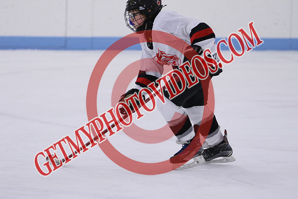 7Z7A5195_11 00 am - U13LL - Grafton Gryphons vs Orono Leafs 1