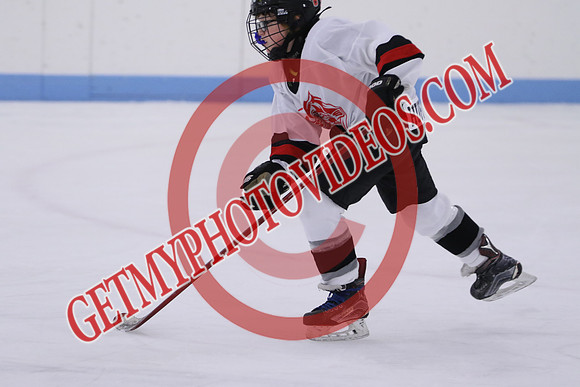 7Z7A5196_11 00 am - U13LL - Grafton Gryphons vs Orono Leafs 1
