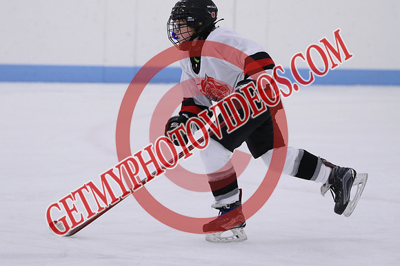 7Z7A5197_11 00 am - U13LL - Grafton Gryphons vs Orono Leafs 1