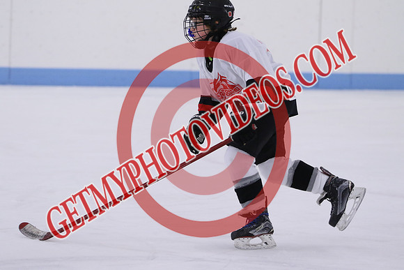 7Z7A5198_11 00 am - U13LL - Grafton Gryphons vs Orono Leafs 1
