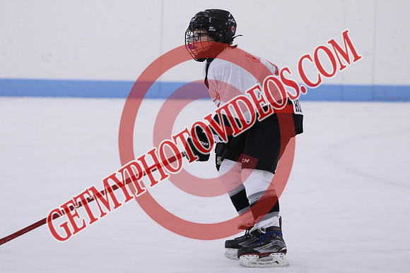 7Z7A5200_11 00 am - U13LL - Grafton Gryphons vs Orono Leafs 1
