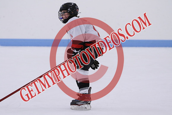 7Z7A5204_11 00 am - U13LL - Grafton Gryphons vs Orono Leafs 1