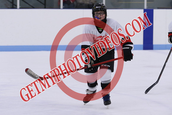 7Z7A5273_11 00 am - U13LL - Grafton Gryphons vs Orono Leafs 1
