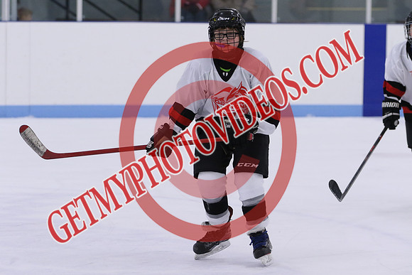 7Z7A5275_11 00 am - U13LL - Grafton Gryphons vs Orono Leafs 1