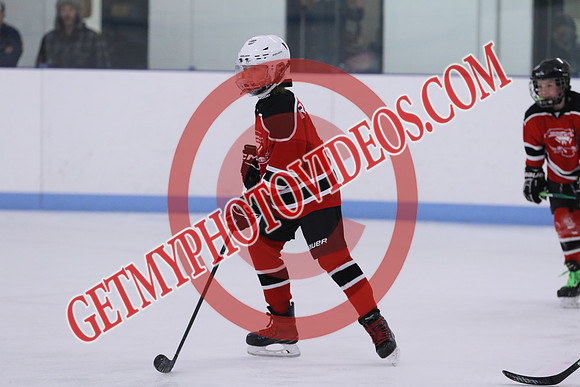 7Z7A2122_9 00 am - U11LL - Northumberland Nighthawks Red 67s vs Orono Leafs 2