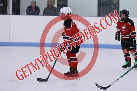 7Z7A2126_9 00 am - U11LL - Northumberland Nighthawks Red 67s vs Orono Leafs 2